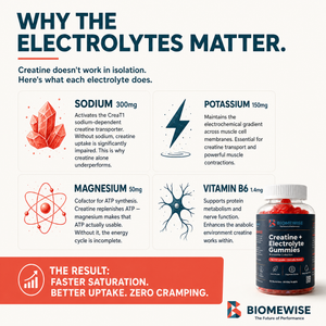Biomewise Creatine + Electrolyte Gummies Built For Athletes